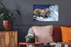 MuchoWow® - Wierderverwendbar - Selbstklebend Produktbild-Vorschau 3