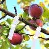 Etichette per piante Etichette per la semina di fiori 100 Anteprima dell’immagine prodotto 5