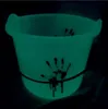 Kbelík krvavý noctilucentní Náhled obrázku produktu 3
