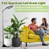 A couple sitting on a yellow couch in a living room, with a floor lamp and plants. Produktbild-Vorschau