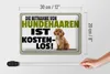 Blechschild Spruch 30x20cm Mitnahme Hundehaaren Produktbild-Vorschau 5