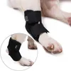 INF Supporto per zampa di cane - Supporto corto per cani L Anteprima dell’immagine prodotto 1