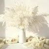 INF Bouquet de Fleurs Séchées Blanches - 21 Tiges d'Herbe Voir les images du produit 5