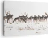 Bild auf Leinwand - Leinwandbild - Hirsch Winter Tierwelt Produktbild-Vorschau 1