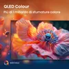 A close-up of a flower displayed on a TV screen, with marketing text overlay. Voir les images du produit