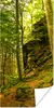 MuchoWow® Poster Bäume - Stein - Wald - Natur - Pflanzen Produktbild-Vorschau 1