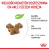 Royal Canin Kitten - Gewicht: 2 kg Productafbeelding-voorbeeld 4