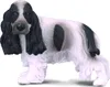 COLLECTA Chien cocker anglais 88070 5cm Voir les images du produit 2