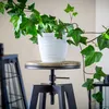 KADAX Blumentopf mit Untersetzer "Temara", Blumenkübel, Produktbild-Vorschau 10
