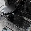 Čierna fritéza Berdsen BD-658 s funkciou fritovania horúcim Náhľad obrázku produktu 23