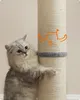 Feandrea škrabadlo, škrabadlo, 13 cm silný kmen, škrabadlo Náhled obrázku produktu 4