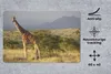 MuchoWow® Schreibtischunterlage Giraffe - Landschaft - Produktbild-Vorschau 2