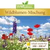 Duo - Set Bienen - und Wildblumen - Mischung 2 x im 1 l Produktbild-Vorschau 3
