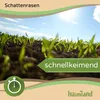 Premium Schattenrasen Rasensamen schnellkeimend  5 kg = Produktbild-Vorschau 4