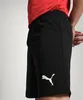 Puma Teamrise Shorts Herren - Schwarz Produktbild-Vorschau 10