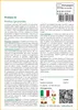 SAFLAX Garden to go - Protea re - 5 semi - Protea Anteprima dell’immagine prodotto 3