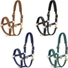 Eskadron HERITAGE Halfter " FAUX LEATHER DOUBLE PIN PLAIT " Produktbild-Vorschau 3