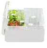 A transparent cold frame with various herbs and chili peppers growing inside. Anteprima dell’immagine prodotto