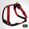 HUNTER Hundegeschirr NEOPREN, rot/schwarz, Produktbild-Vorschau 12