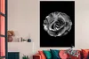 MuchoWow® Poster Blumen - Rose - Schwarz - Weiß - Botanisch Produktbild-Vorschau 3