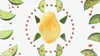 5er-Pack San Carlo Più Gusto Lime e Pepe Rosa Produktbild-Vorschau 4