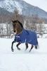 A horse wearing a blue blanket runs through the snow with a mountain in the background. Produktbild-Vorschau