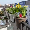 Relaxdays Hliněné zálivkové špičky, sada 4 ks, dávkovače Náhled obrázku produktu 2