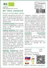 SAFLAX - BIO - mrkva - jesenný kráľ - Daucus carota subsp. Náhľad obrázku produktu 3