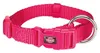 TRIXIE Premium Halsband, XS–S: 22–35 cm / 10 mm, fuchsia Produktbild-Vorschau 5