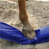 A close-up shot of a horse's hoof stepping on a blue mat on a sandy surface. Náhľad obrázku produktu