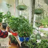 Outsunny 3er Set Regenkette 123cm Regenablaufkette aus Produktbild-Vorschau 8