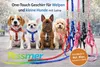 Nylon Hundegeschirr und Leine One Touch SCHWARZ Produktbild-Vorschau 1