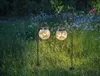esotec Solar Hängeleuchten Smart Globe im 2er-Set Produktbild-Vorschau 11