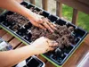Hands filling a seed tray with soil. Produktbild-Vorschau