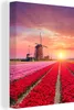 MuchoWow® - Leinwandbilder - Blumen - Windmühle - Tulpen - Produktbild-Vorschau 1