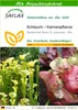 SAFLAX - Schlauch- / Kannenpflanze - Sarracenia flava / S. Produktbild-Vorschau 1