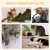 A collage of five images showing cats interacting with household items, including a Christmas tree, cables, a plant, and paper. Anteprima dell’immagine prodotto