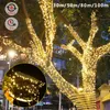 Trees decorated with warm white fairy lights at night. Produktbild-Vorschau