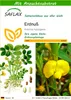 SAFLAX - Erdnuß - Arachis hypogaea - 8 Samen - Mit Produktbild-Vorschau 1