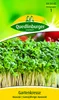 Quedlinburger Saatgut - Gartenkresse Krause - Samen - Produktbild-Vorschau 1