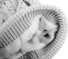 Damen Mütze Schal Winter Set | Gefütterte Strickmütze mit Produktbild-Vorschau 6