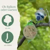 Orni 100 Stück Meisenknödel im Netz mit Sonnenblumenkerne | Produktbild-Vorschau 6