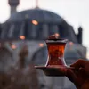 Tè MEVLANA (confezione da 1 kg) Anteprima dell’immagine prodotto 11