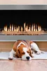 A beagle dog is sleeping on a mat in front of a modern gas fireplace. Náhľad obrázku produktu