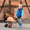 Rolly Toys Schubkarre, Metall, Kinderschubkarre mit Produktbild-Vorschau 6