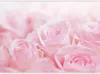 Vlies Fototapete - Ocean of Roses 150x105 cm Blumen Produktbild-Vorschau 5