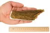 RF-DEER Elk Antler XL 120-180g 13-17cm corno naturale duro, Anteprima dell’immagine prodotto 2