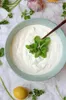 Tzatziki (Gewürzzubereitung) - Quark- und Dip-Gewürz - Produktbild-Vorschau 3