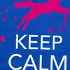 style3 Keep Calm and be a Unicorn Damen T-Shirt Einhorn, Produktbild-Vorschau 2