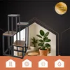 A plant stand is shown in front of a stylized house outline, with a potted plant inside the house outline. There are icons at the bottom of the image. Náhľad obrázku produktu